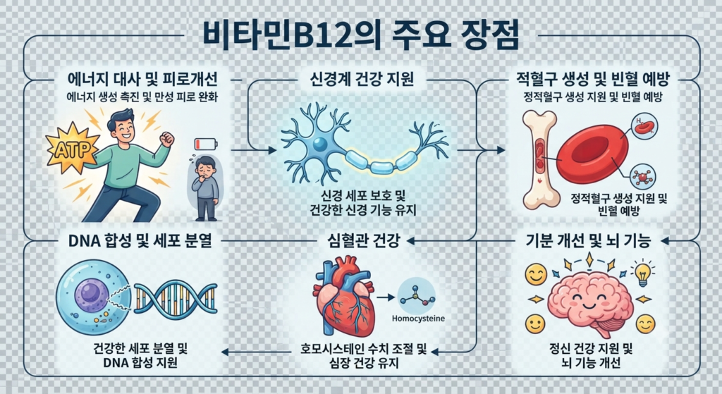 비타민 B12