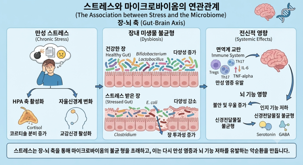 스트레스와 마이크로바이옴