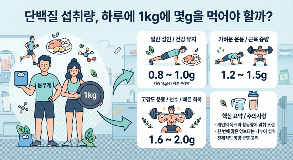 단백질 섭취량