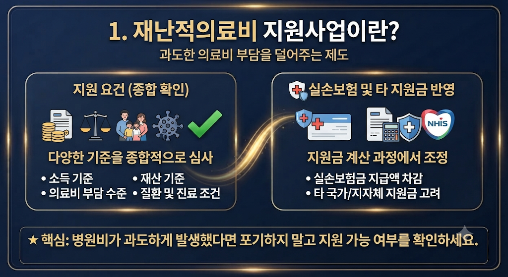 재난적의료비 지원사업