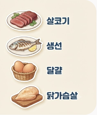 단백질 많은 음식